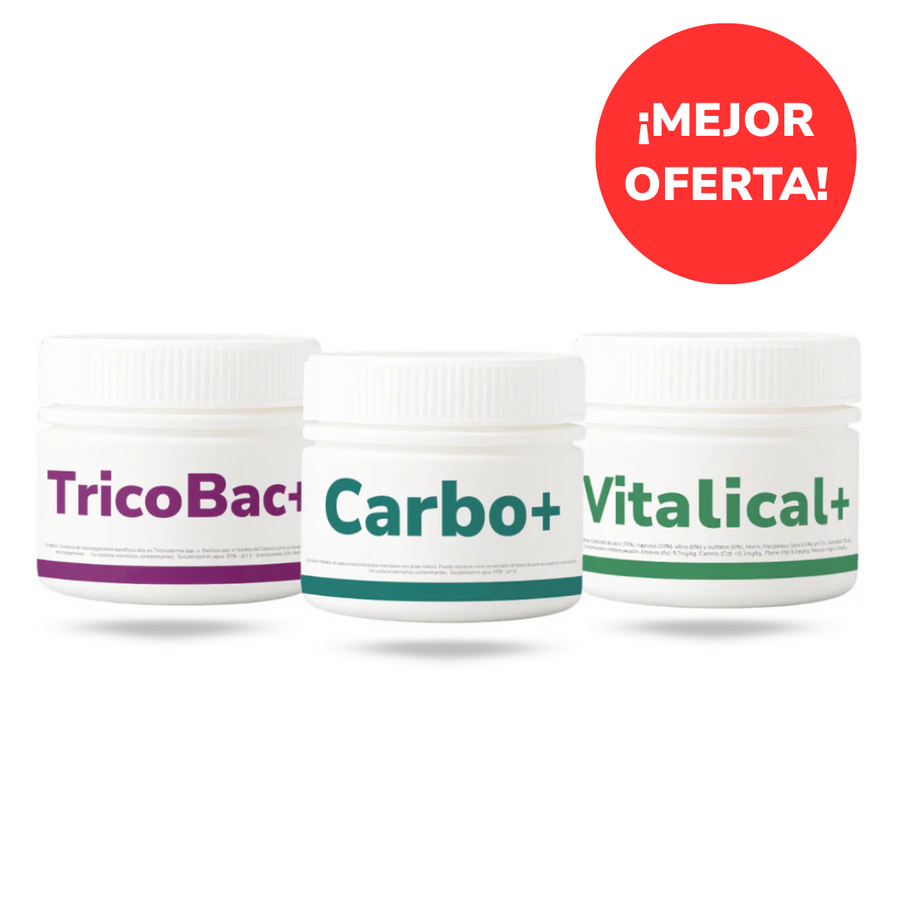 Pack Primavera Vitali+