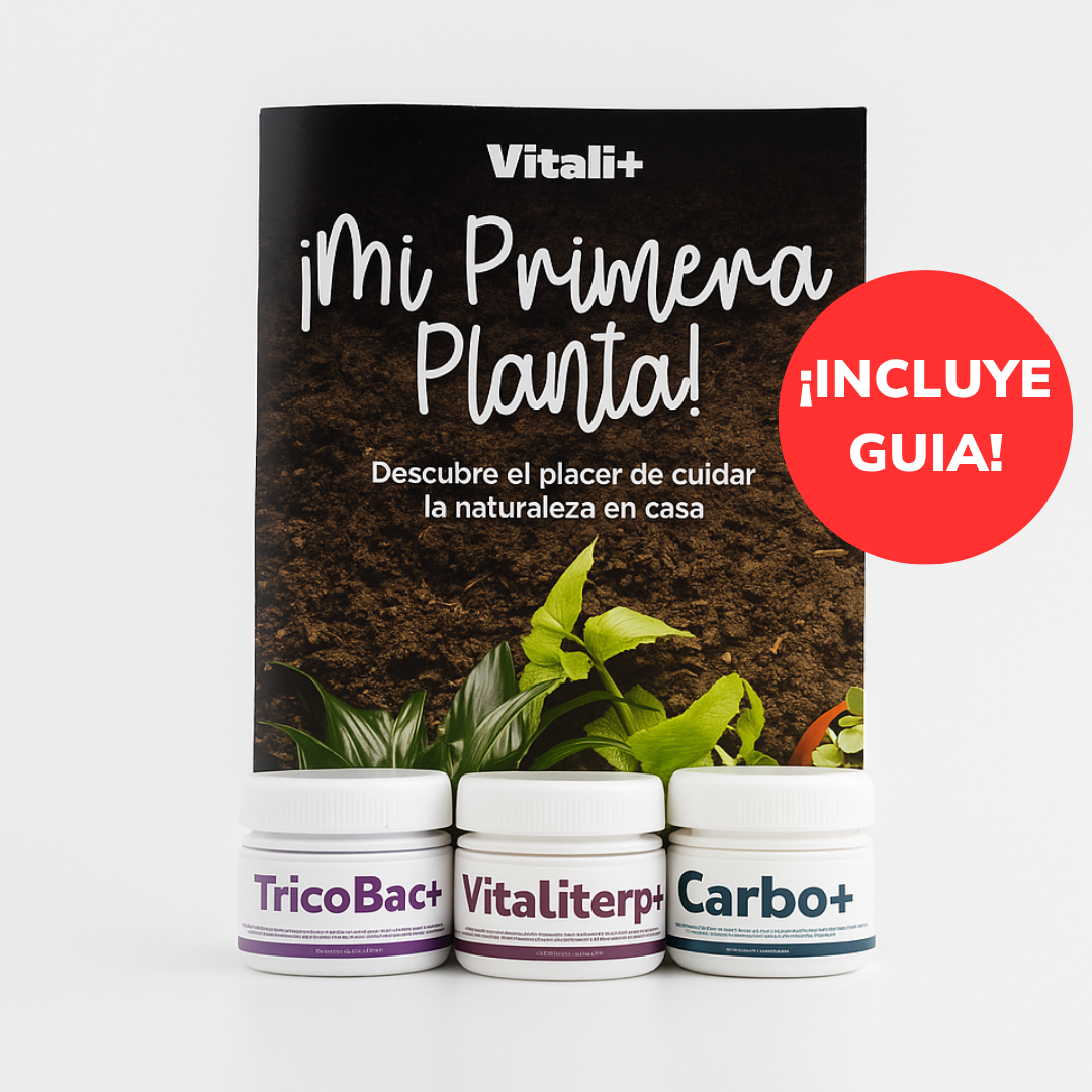 Pack Invierno - EDICIÓN LIMITADA