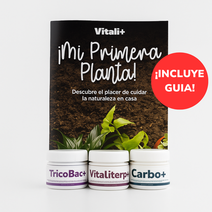 Pack Invierno - EDICIÓN LIMITADA