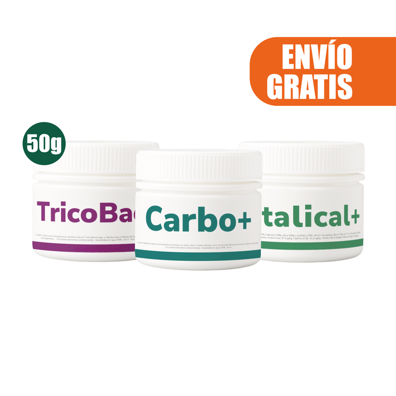 Pack Primavera