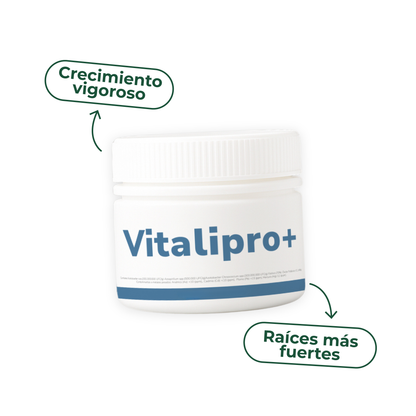 Vitalipro de Vitali+ — Tierra viva y enraizante natural para plantas en maceta