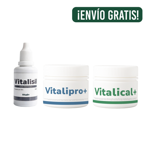 Pack Crecimiento