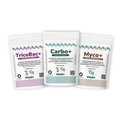 Pack Otoño