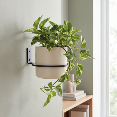 Soporte de pared