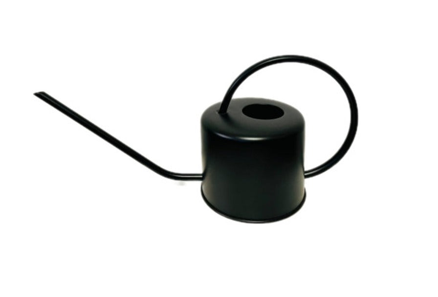 Regadera Inox