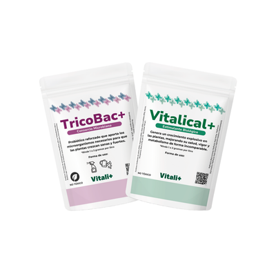 Pack Revitalizante