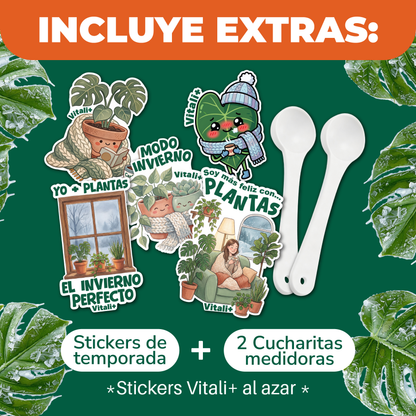 Pack Invierno