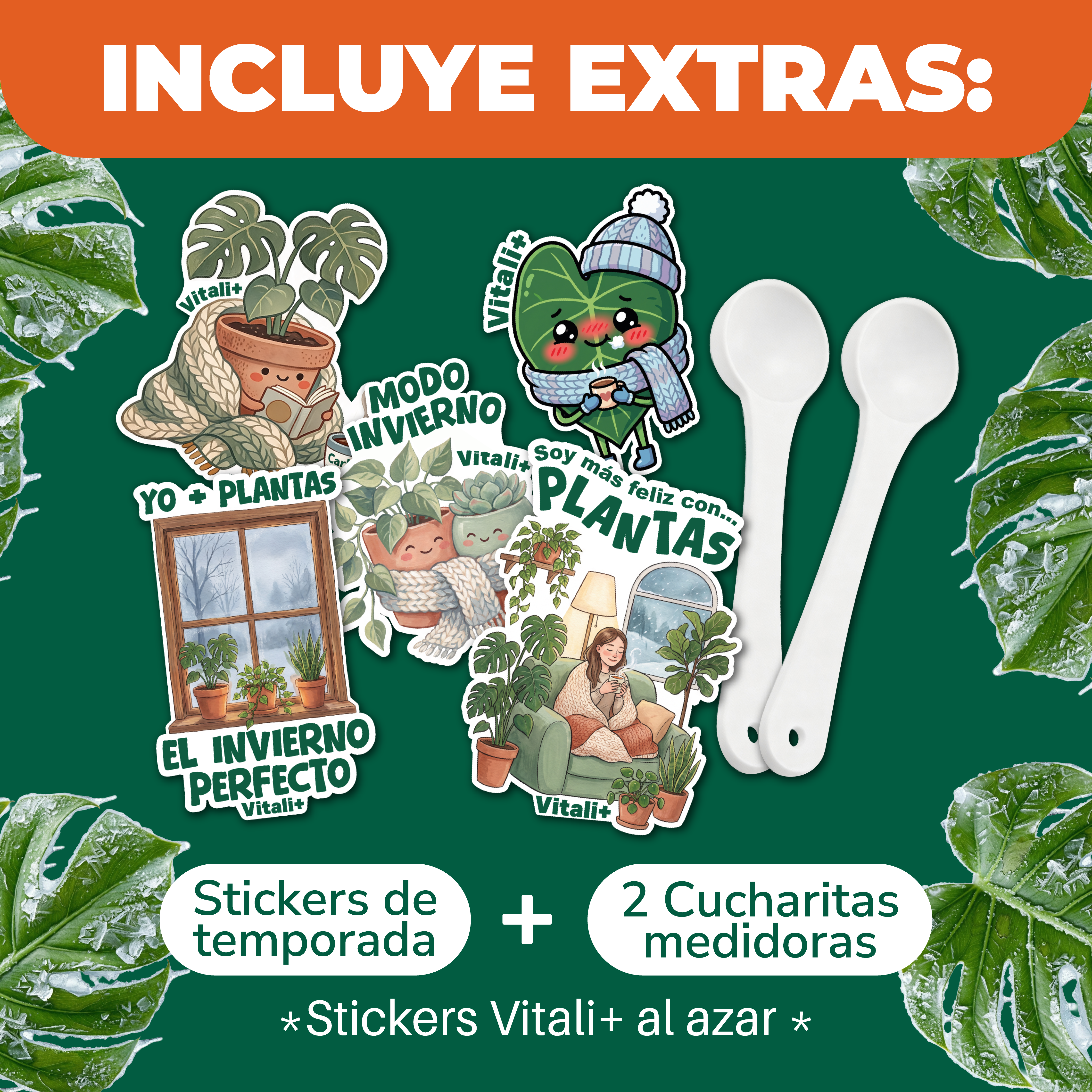 Pack Invierno