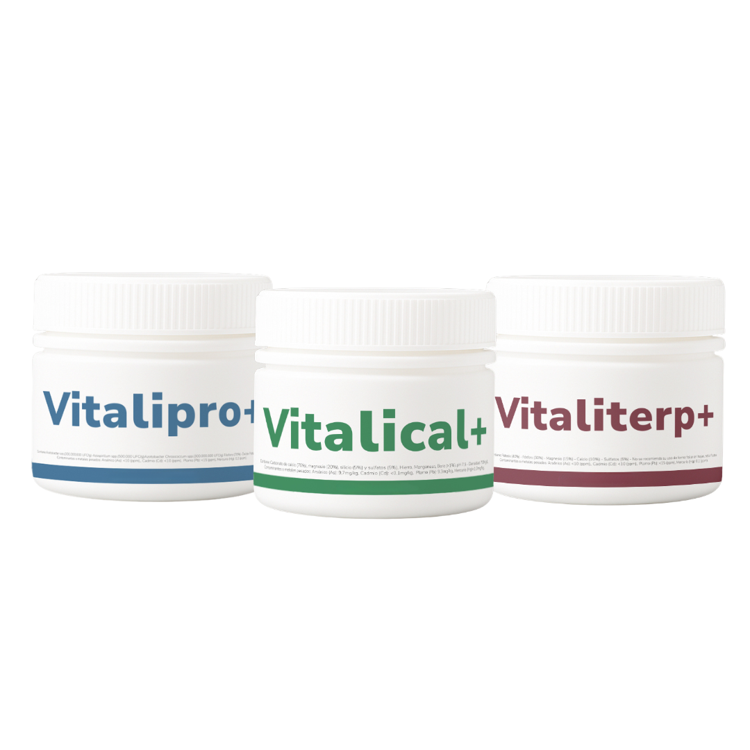 Tripack Vitali+