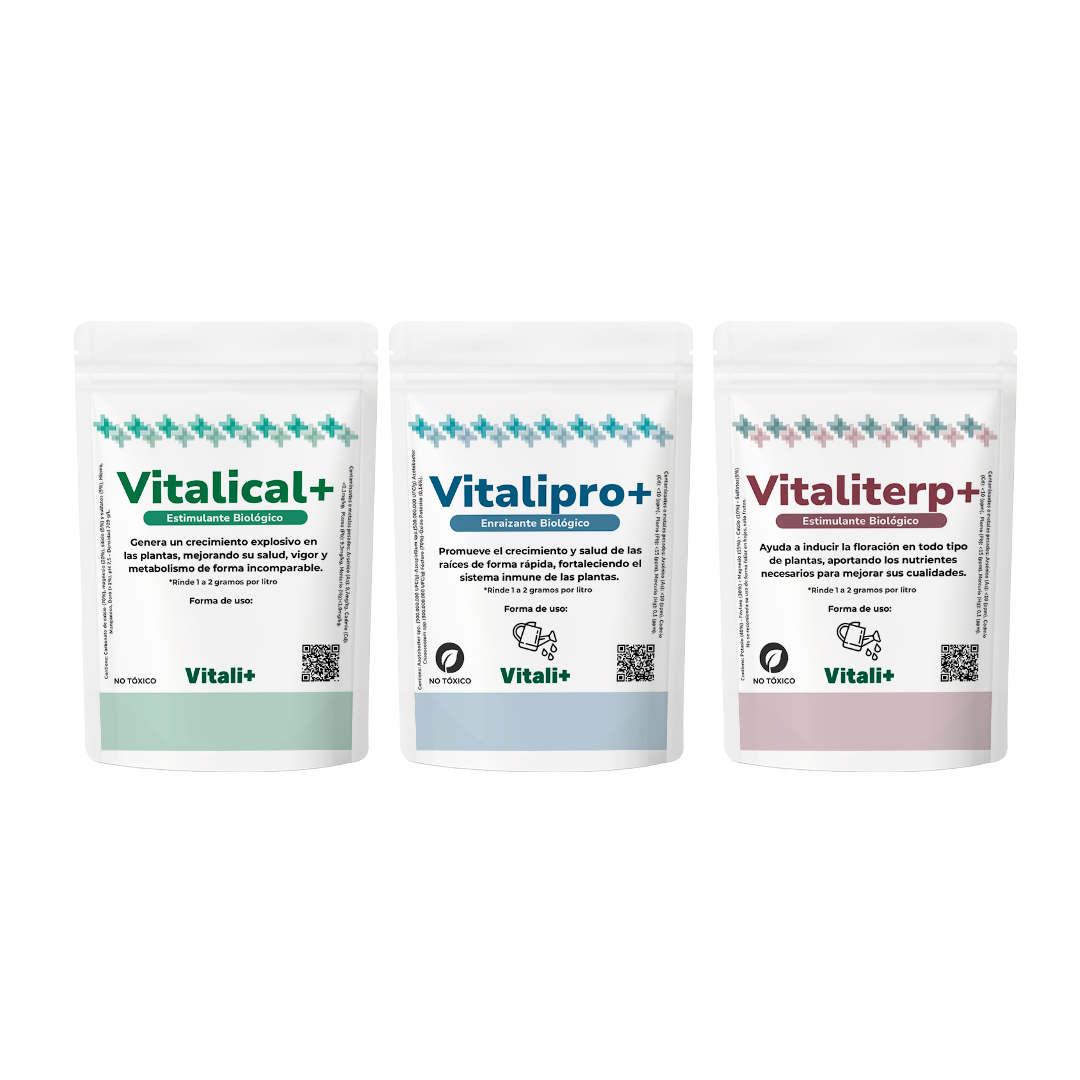 Tripack Vitali+