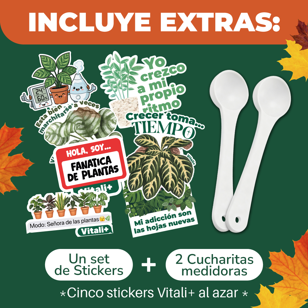 Súper pack Otoño