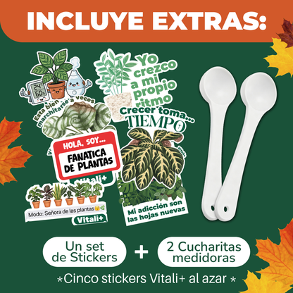 Súper pack Otoño