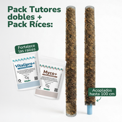 Pack tutores PRO