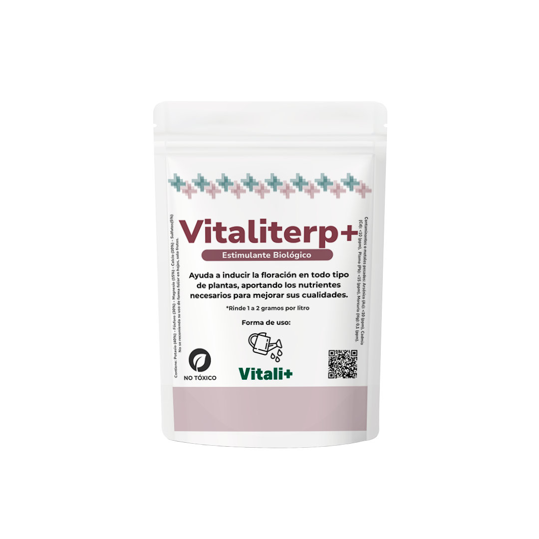 Vitaliterp