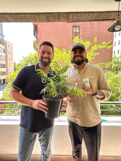 Clínica de Plantas a Domicilio - Ayuda experta en Santiago