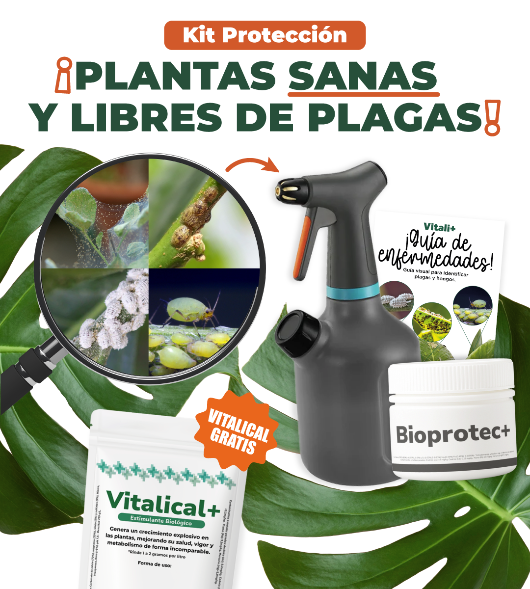 Kit Protección