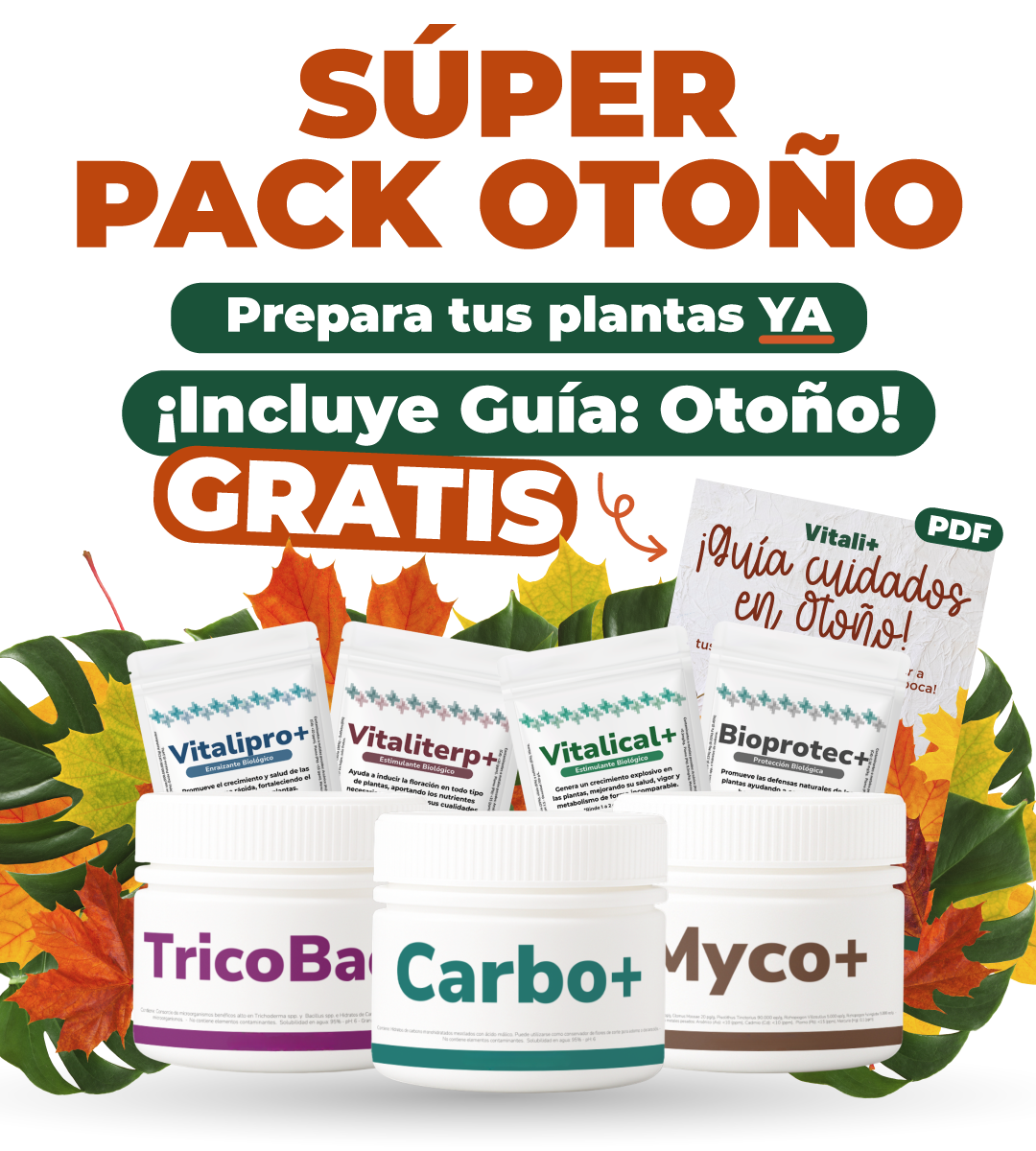 Súper pack Otoño