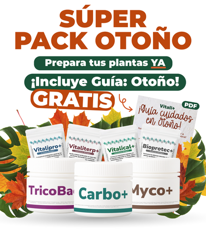 Súper pack Otoño
