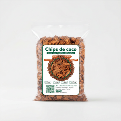 Chips de coco