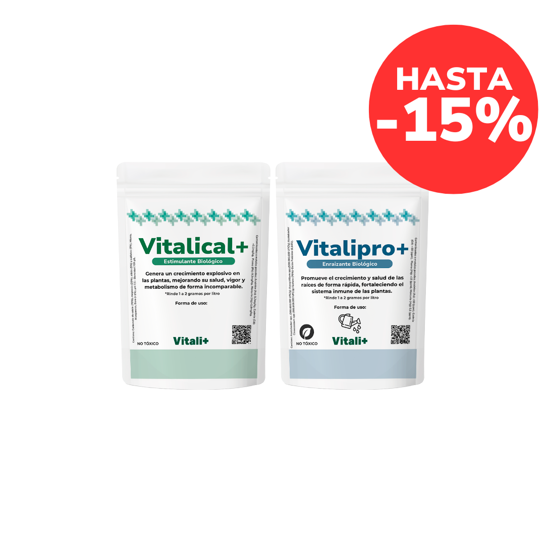 Pack Crecimiento