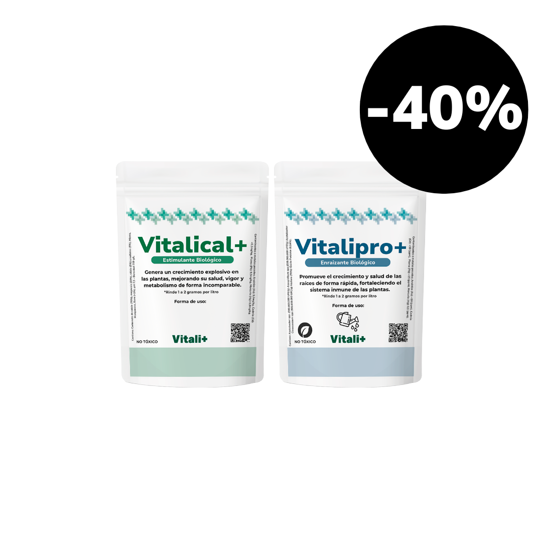 Pack Crecimiento