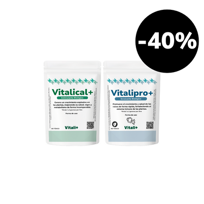 Pack Crecimiento