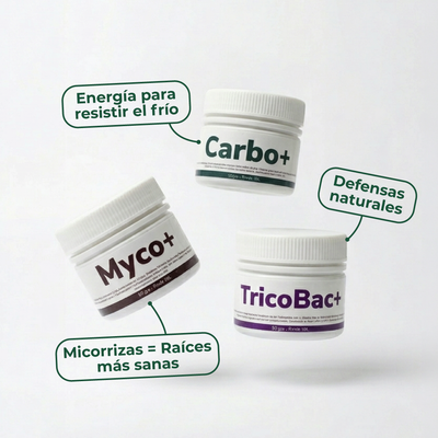 MEGA Pack Vitali+