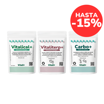 Pack Flores