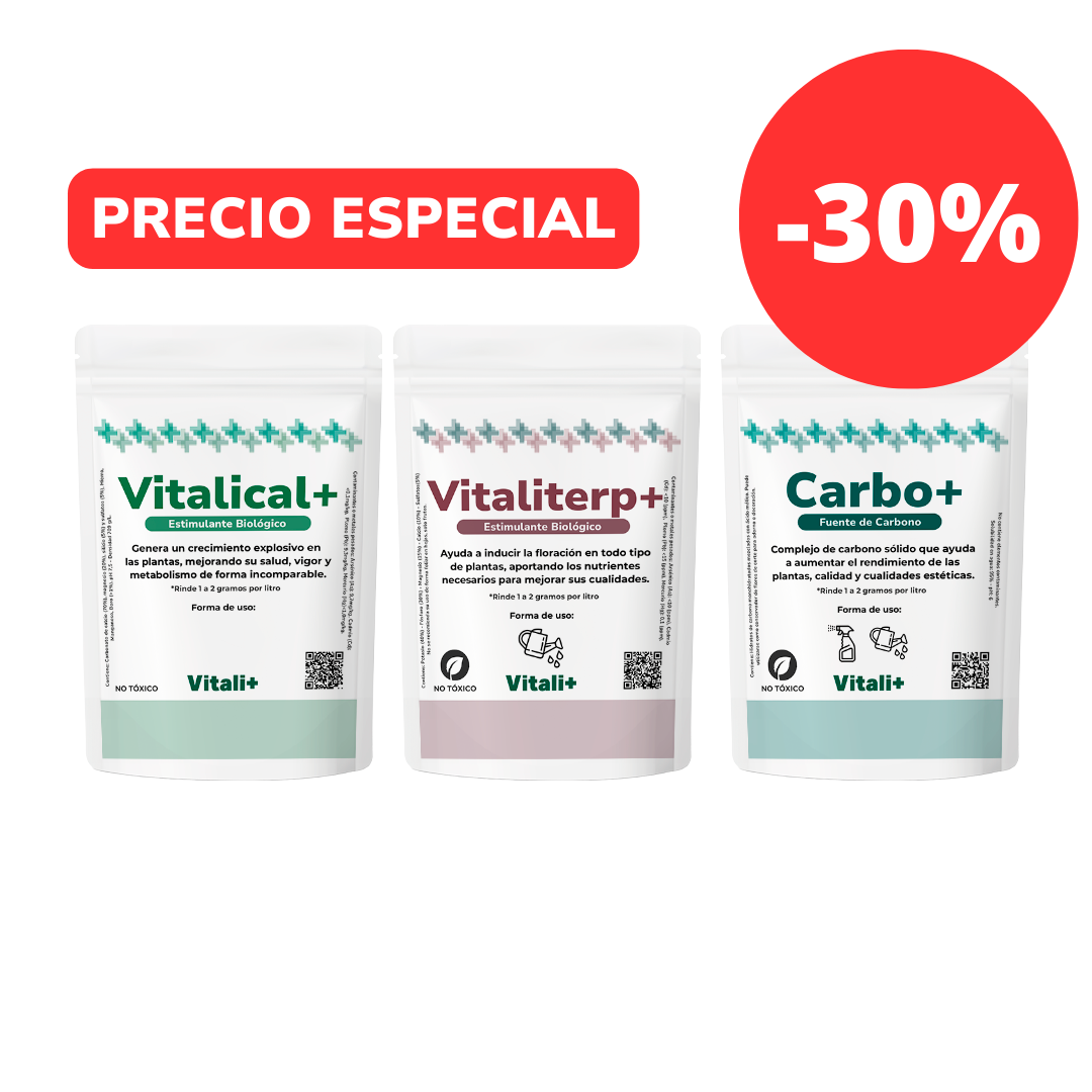 Pack Flores