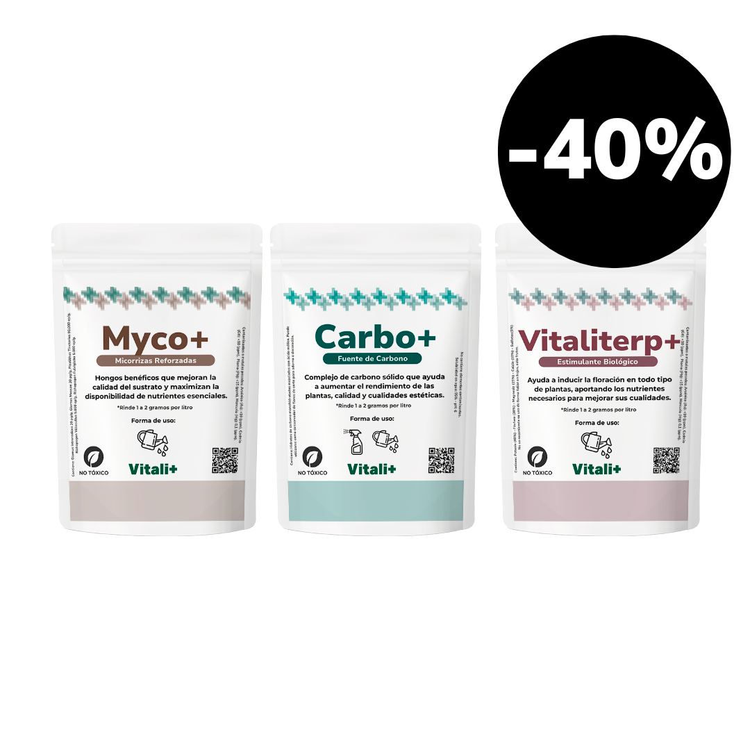 Pack Frutales