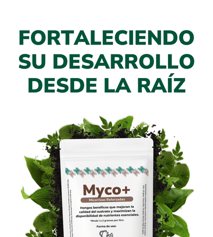 Myco+