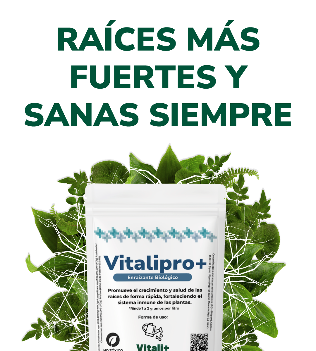 Vitalipro