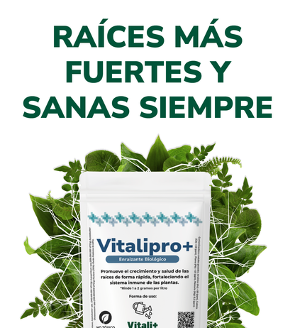 Vitalipro