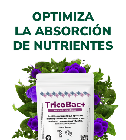 TricoBac+