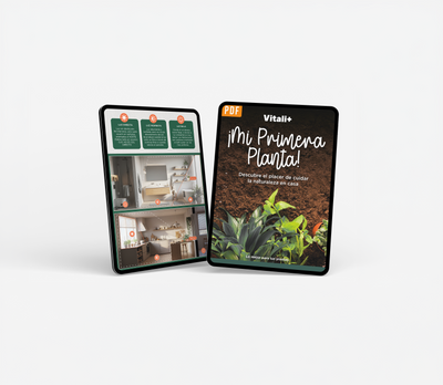Guía mi primera planta