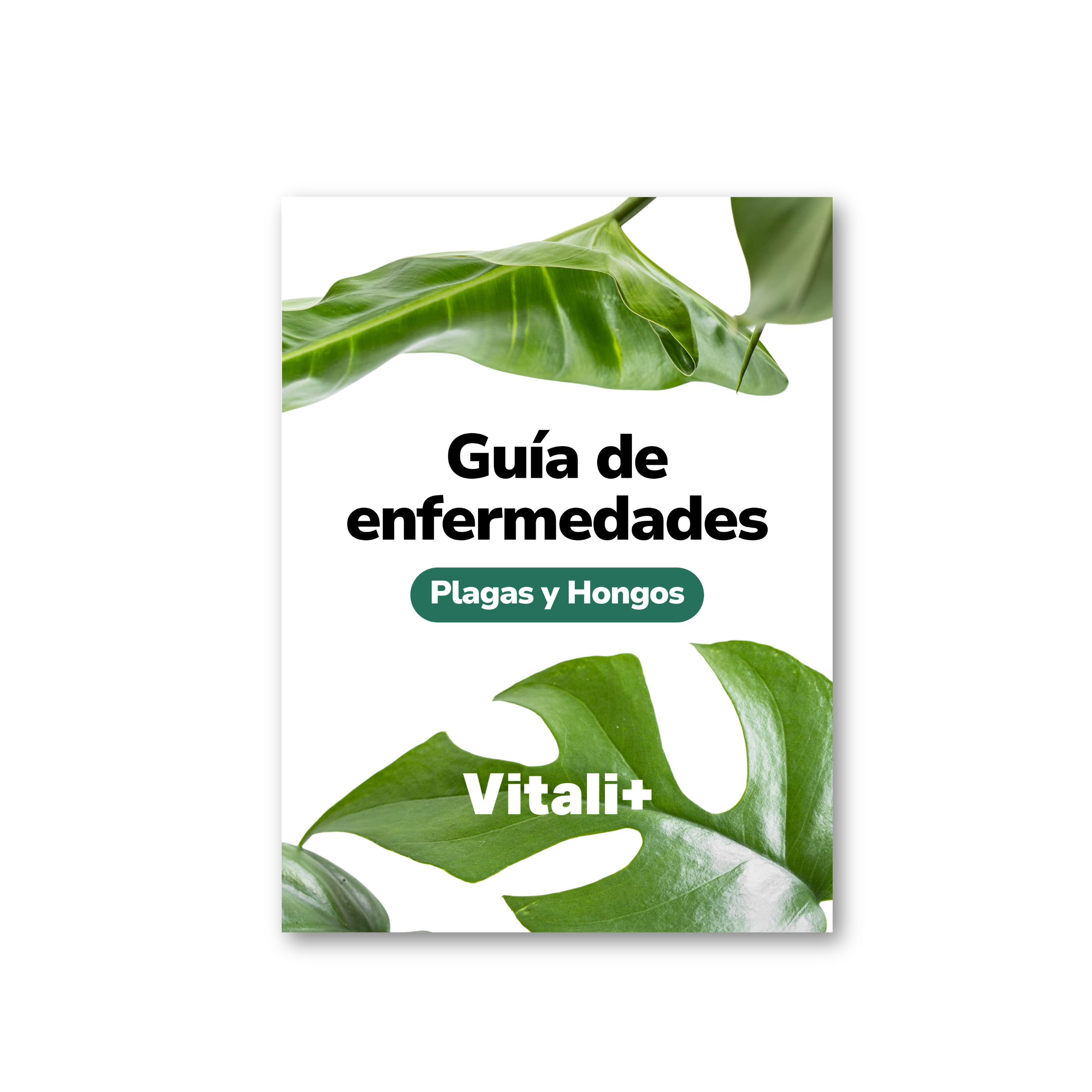 Guía de Enfermedades