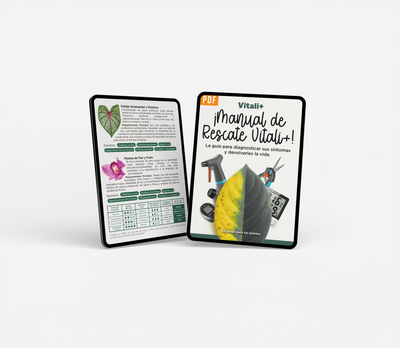 Manual de rescate