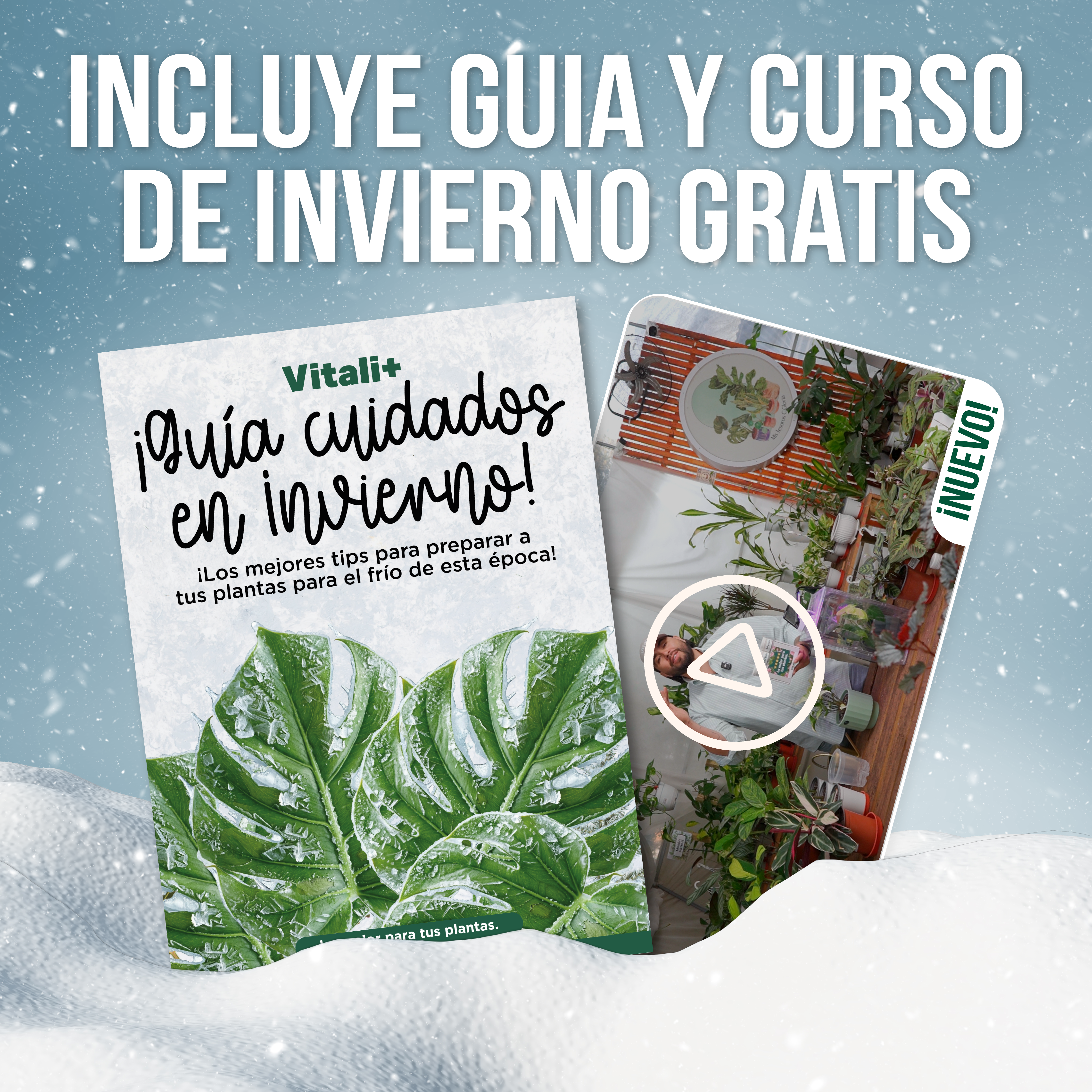 Pack Invierno