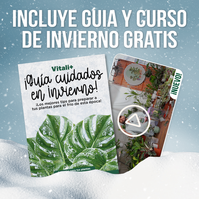 MEGA Pack Vitali+