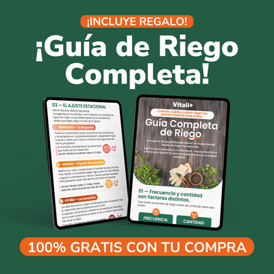 MEGA Pack Vitali+