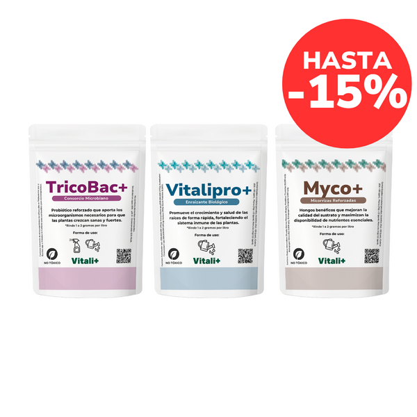 Pack Jardín