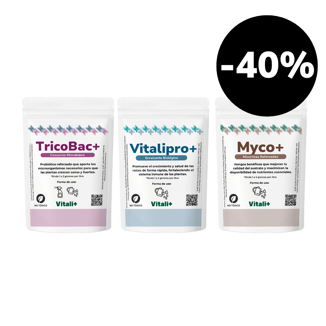 Pack Jardín