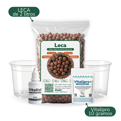 Kit de propagación