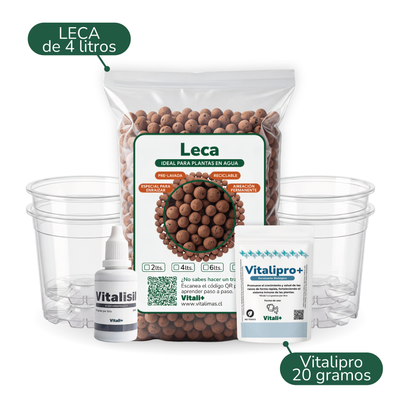 Kit de propagación