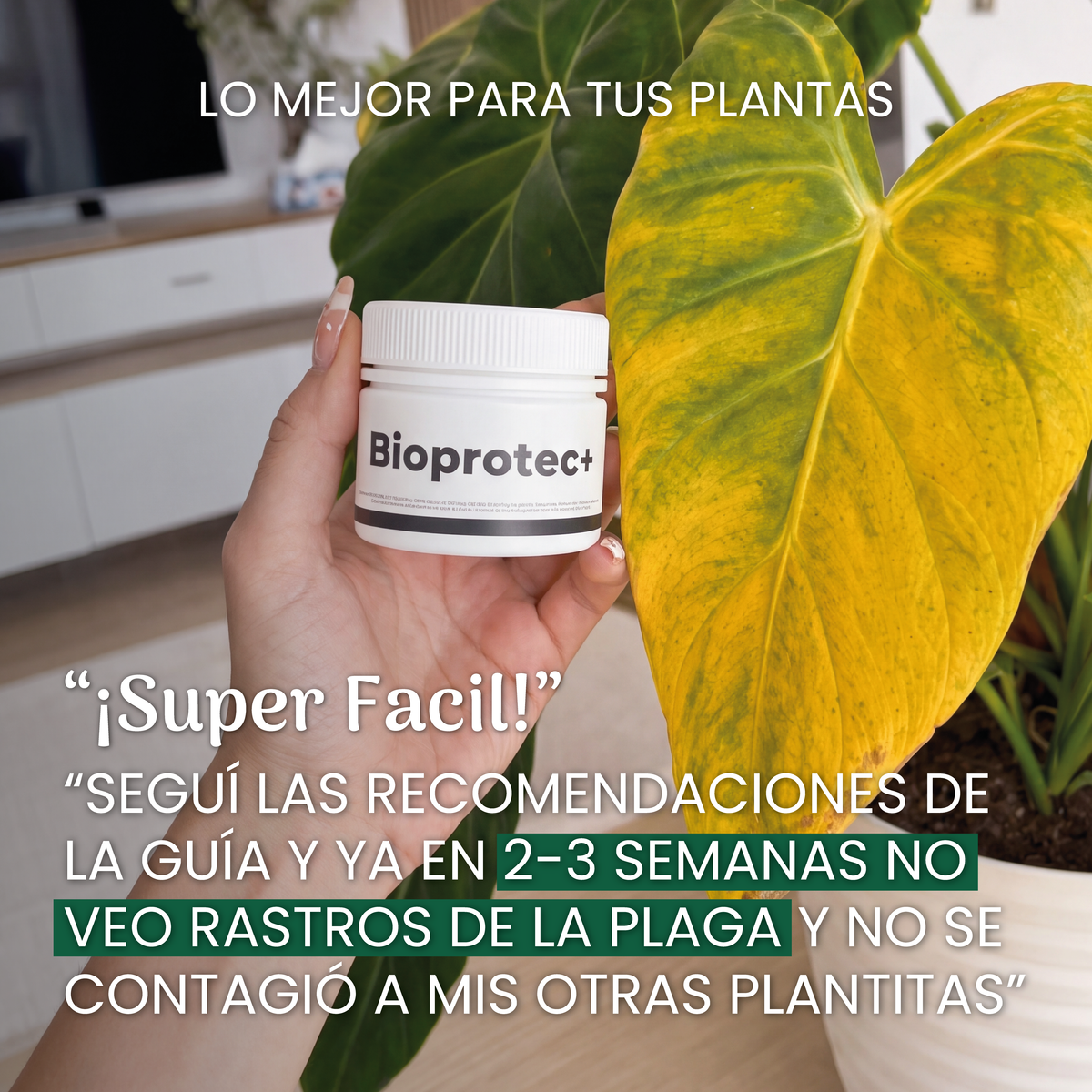 Kit Protección