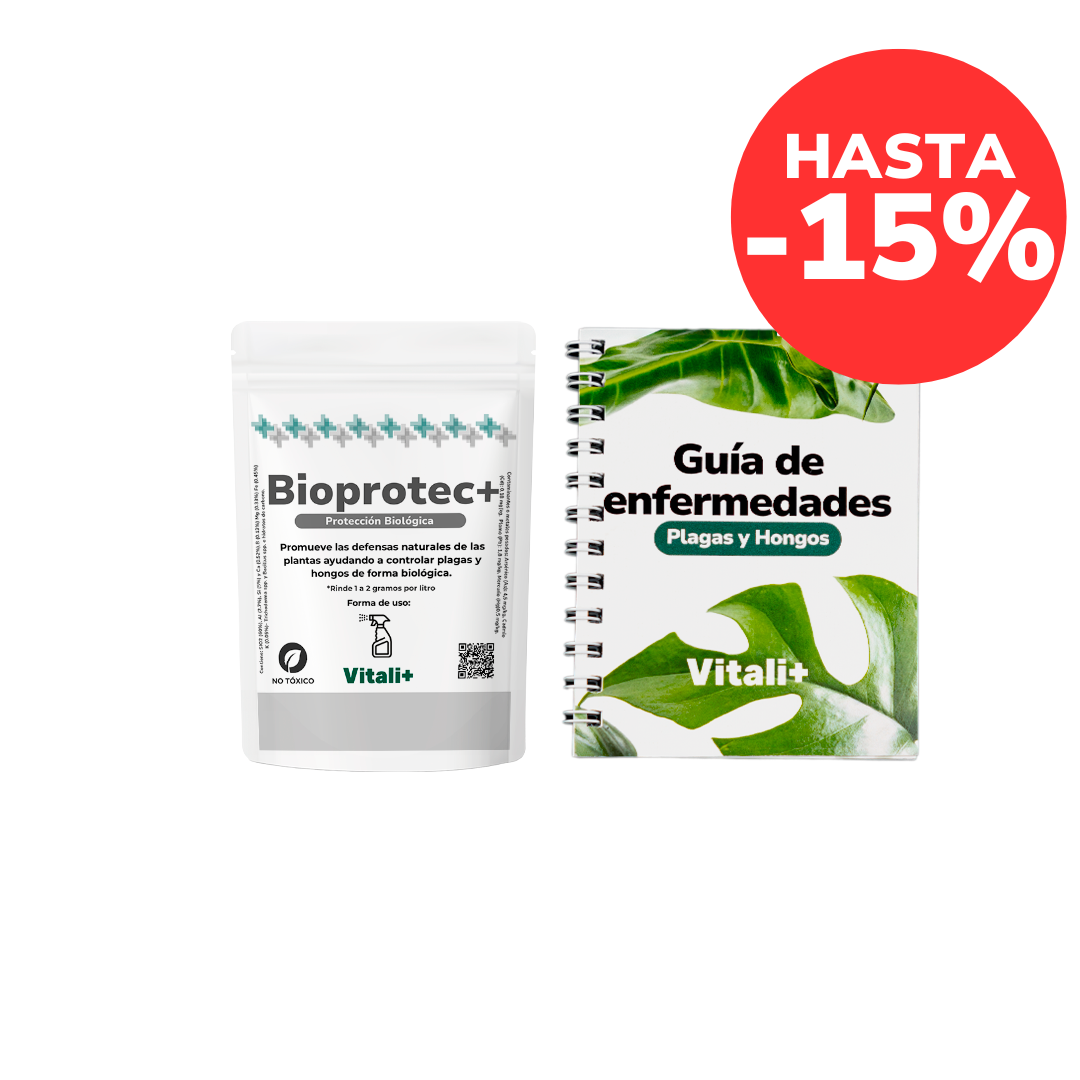 Kit Protección