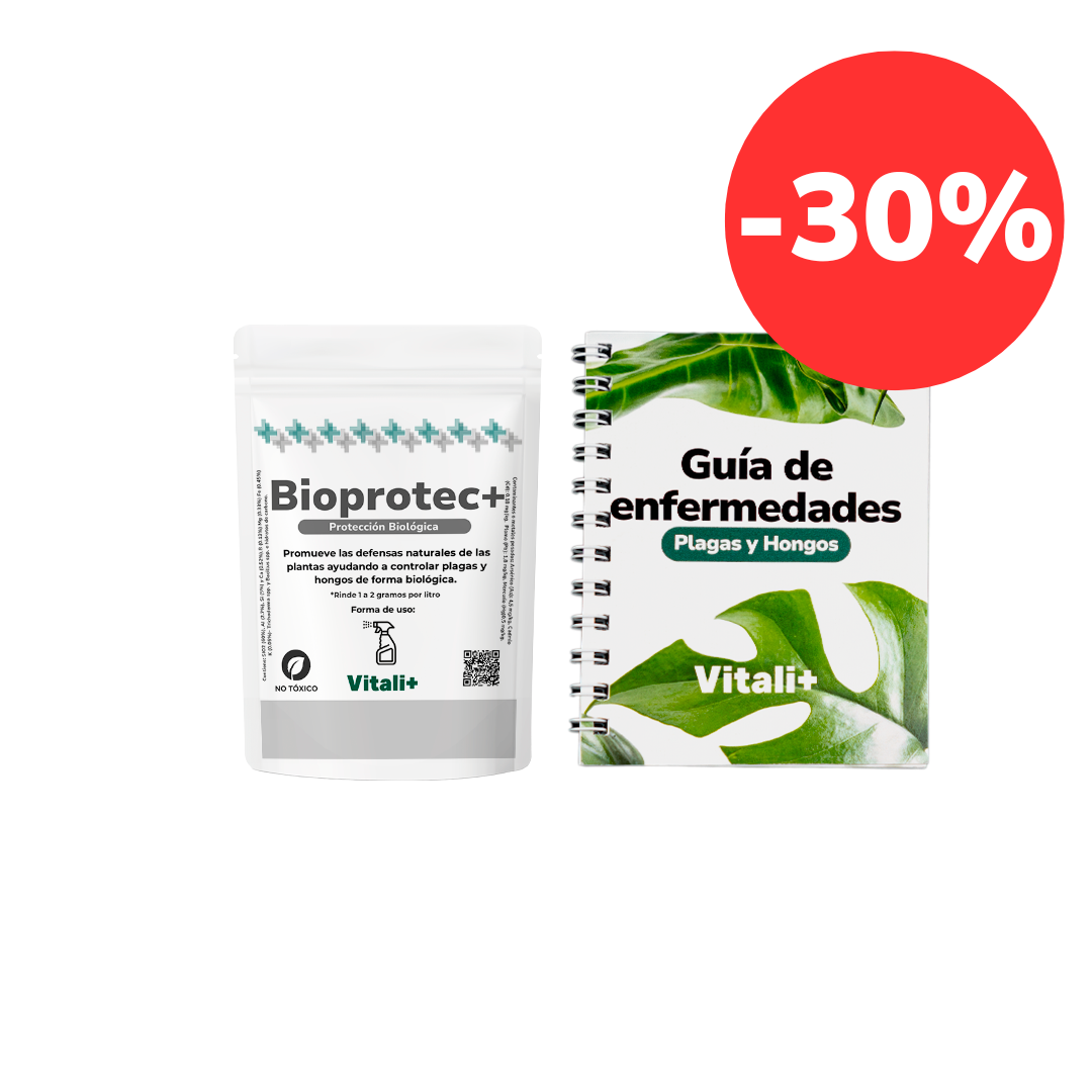 Kit Protección