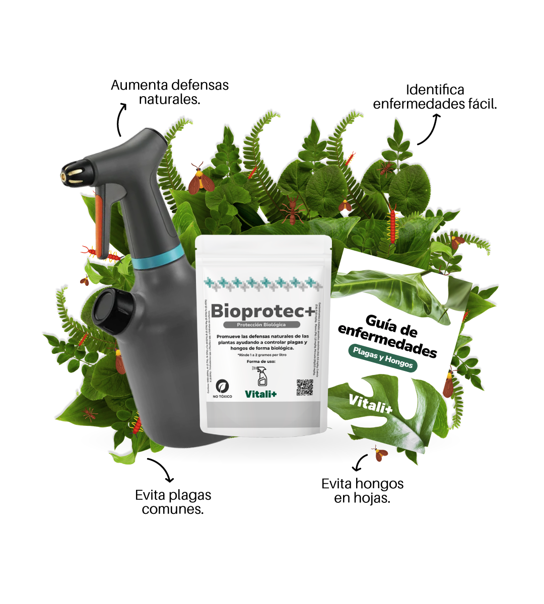 Kit Protección
