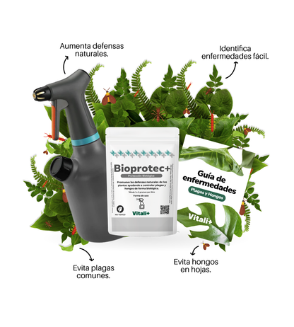 Kit Protección