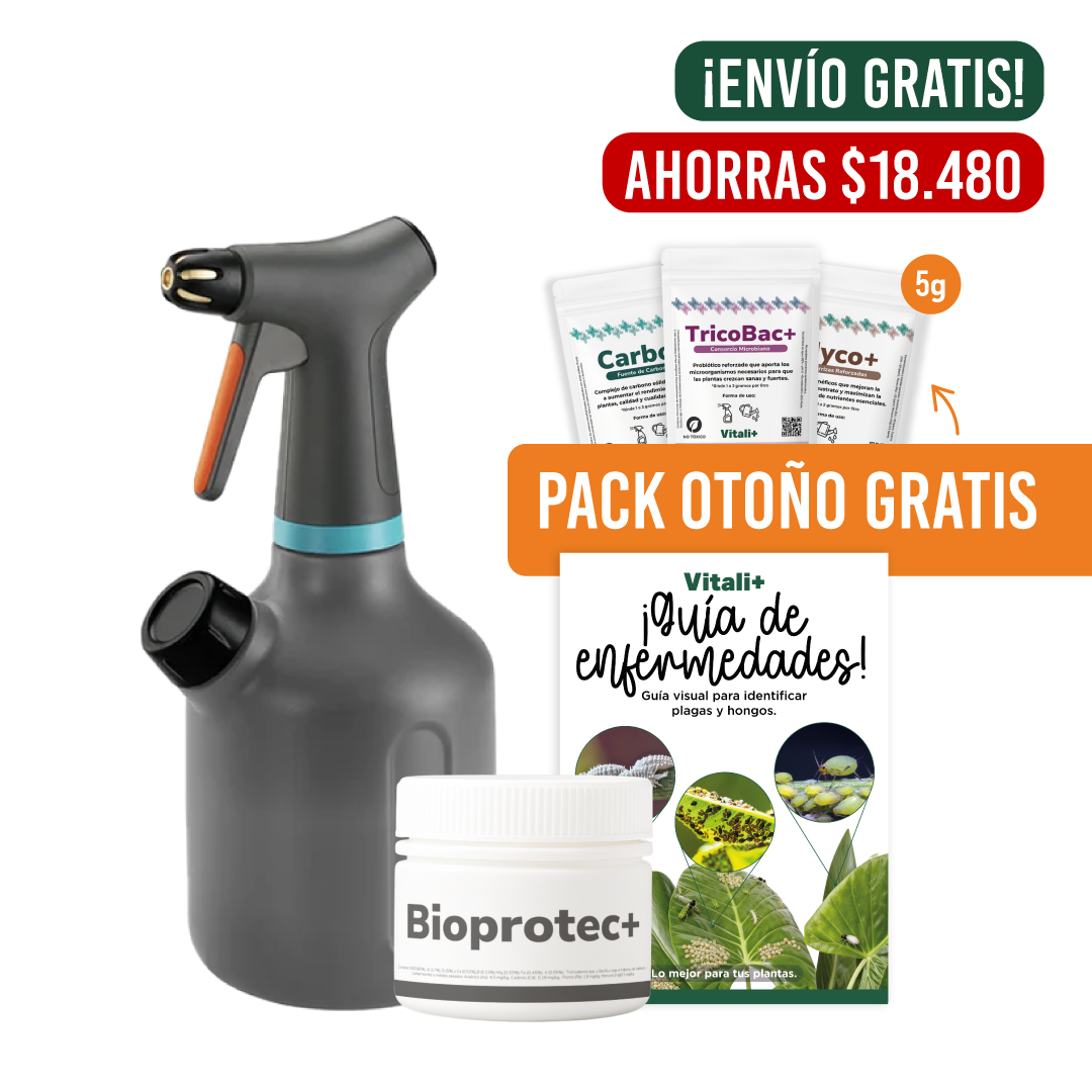 Kit Protección